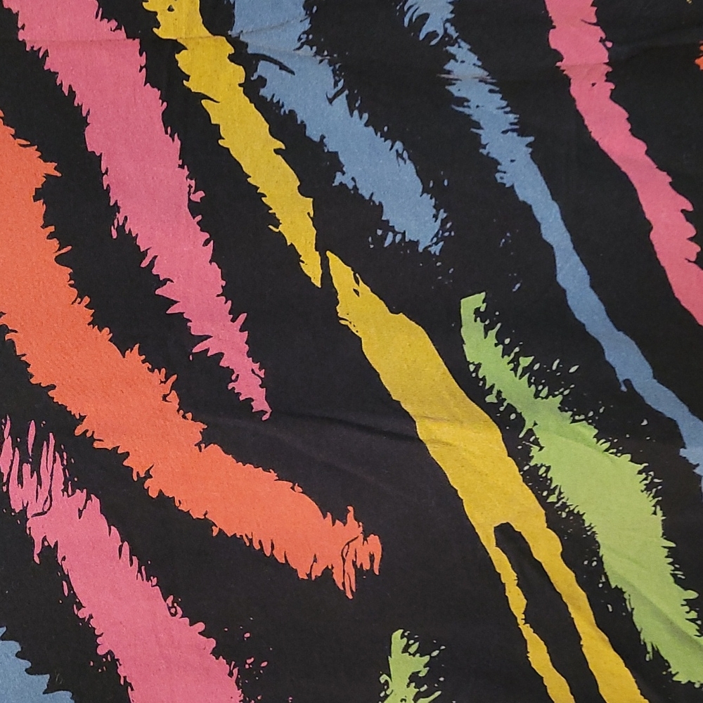 Like New Rainbow Zebra Striped V-Neck T-Shirt - Picture 2 of 5
